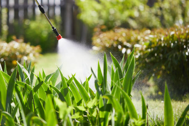 24/7 Emergency Mosquito Control experts in Chariton, IA